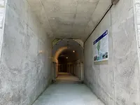 佐田岬灯台の写真・動画_image_396764