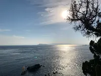 佐田岬灯台の写真・動画_image_396768