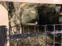 佐田岬灯台の写真・動画_image_396773