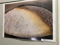 ベアレン醸造所の写真・動画_image_397851