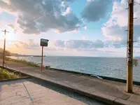 下灘駅の写真・動画_image_398717