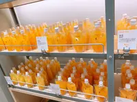 道後ハイカラ通りの写真・動画_image_398744