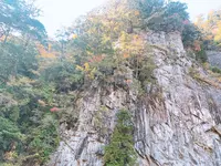 面河渓の写真・動画_image_398765