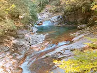 面河渓の写真・動画_image_398767