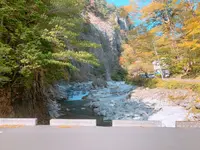 面河渓の写真・動画_image_398769