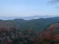八十吉(やそきち)の写真・動画_image_398845