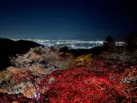 大山阿夫利神社の写真・動画_image_398902