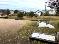 大内氏館跡（大内氏遺跡）の写真・動画_image_399286