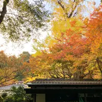 瀧塔山 龍蔵寺の写真・動画_image_399299