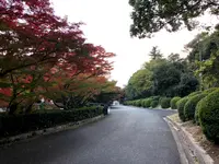 毛利氏庭園の写真・動画_image_399370