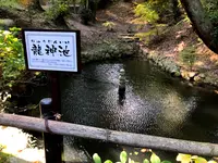 般若寺の写真・動画_image_399479