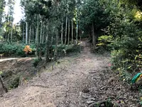 般若寺の写真・動画_image_399482