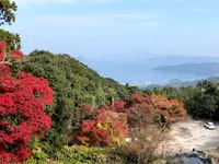 帯石観音の写真・動画_image_399493