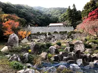 帯石観音の写真・動画_image_399499