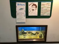 なぎさ水族館の写真・動画_image_399518