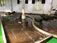 なぎさ水族館の写真・動画_image_399519