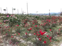 蜂ケ峯総合公園の写真・動画_image_399700