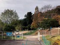 花みどり公園の写真・動画_image_399928