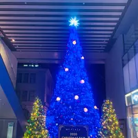 丸の内イルミネーションの写真・動画_image_400022