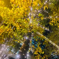 丸の内イルミネーションの写真・動画_image_400023