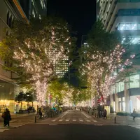 丸の内イルミネーションの写真・動画_image_400024
