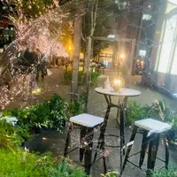 丸の内イルミネーションの写真・動画_image_400026