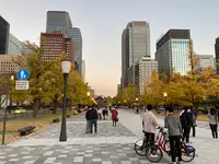 皇居外苑の写真・動画_image_400068
