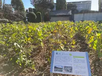 富岡製糸場の写真・動画_image_400348