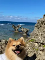 ハートロックの写真・動画_image_400522