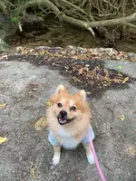 塩川の写真・動画_image_400533