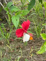 塩川の写真・動画_image_400534