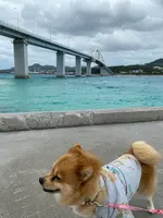 アンチ浜の写真・動画_image_400536
