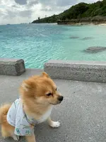 アンチ浜の写真・動画_image_400537