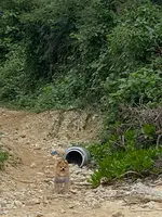 連道原貝塚の写真・動画_image_401628