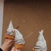 手作り工房 京豆庵 嵯峨嵐山店の写真・動画_image_401703