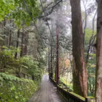榛名神社の写真・動画_image_401795