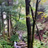 榛名神社の写真・動画_image_401802