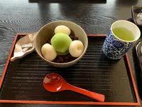芙蓉の写真・動画_image_401893