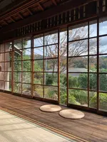 芙蓉の写真・動画_image_401895