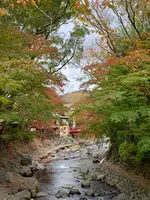 竹林の小径の写真・動画_image_401899