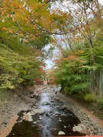 竹林の小径の写真・動画_image_401901