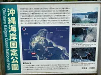 茅打ちバンタの写真・動画_image_402044