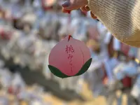 吉備津彦神社の写真・動画_image_402112