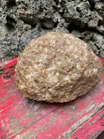 大石林山の写真・動画_image_402136