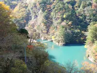 寸又峡の写真・動画_image_402412