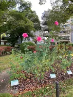 平和記念公園の写真・動画_image_402480