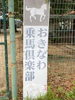 おきなわ乗馬倶楽部の写真・動画_image_402596