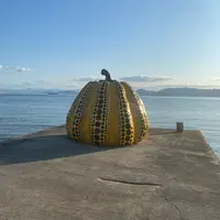 草間彌生「南瓜」の写真・動画_image_402604