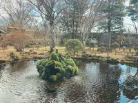 懐古神社の写真・動画_image_402852
