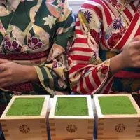 抹茶館の写真・動画_image_403136